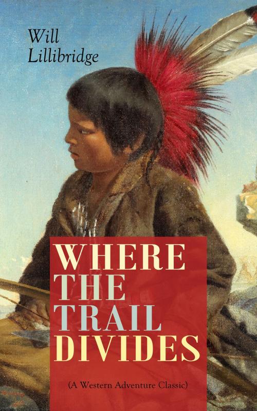 Cover of the book WHERE THE TRAIL DIVIDES (A Western Adventure Classic) by Will Lillibridge, e-artnow