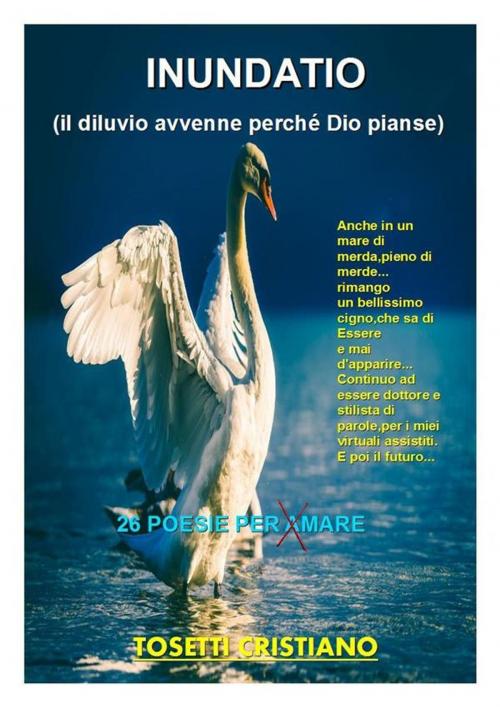 Cover of the book Inundatio by Tosetti Cristiano, Tosetti Cristiano