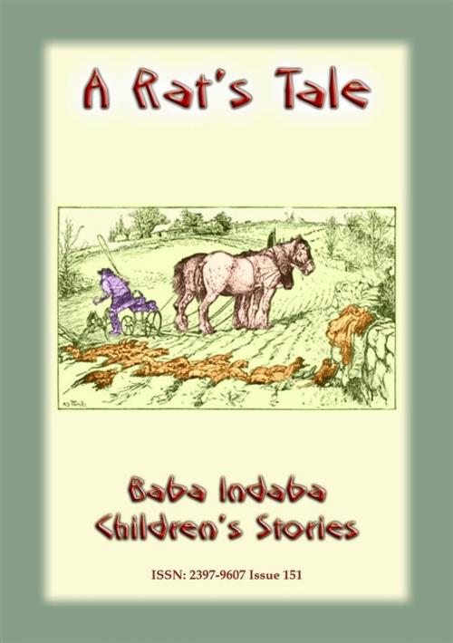Cover of the book A RAT'S TALE - A Scottish Children’s Story by Anon E Mouse, Abela Publishing