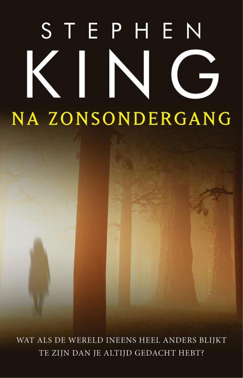 Cover of the book Na zonsondergang by Stephen King, Luitingh-Sijthoff B.V., Uitgeverij