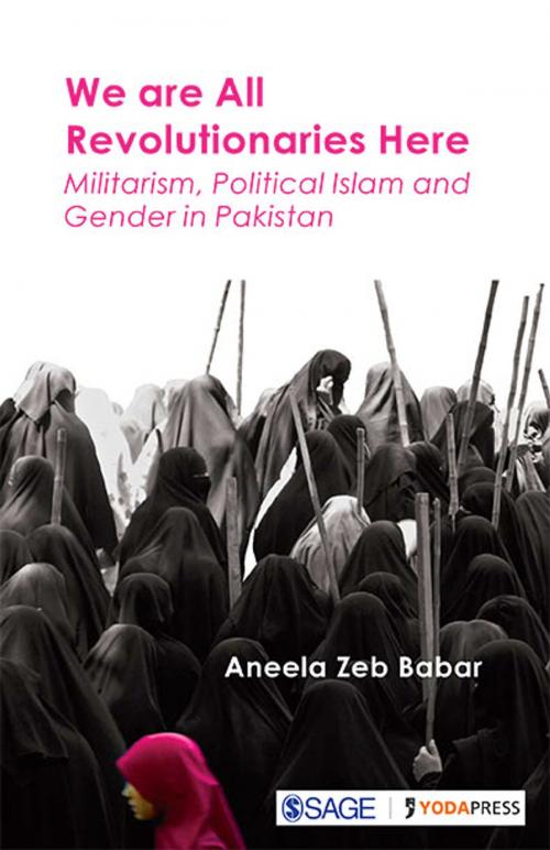 Cover of the book We are All Revolutionaries Here by Aneela Zeb Babar, SAGE Publications