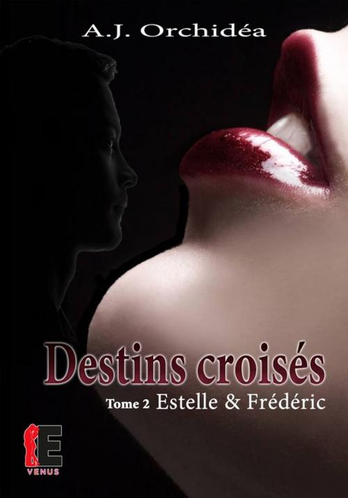 Cover of the book Estelle & Frédéric by A.J. Orchidéa, Evidence Editions