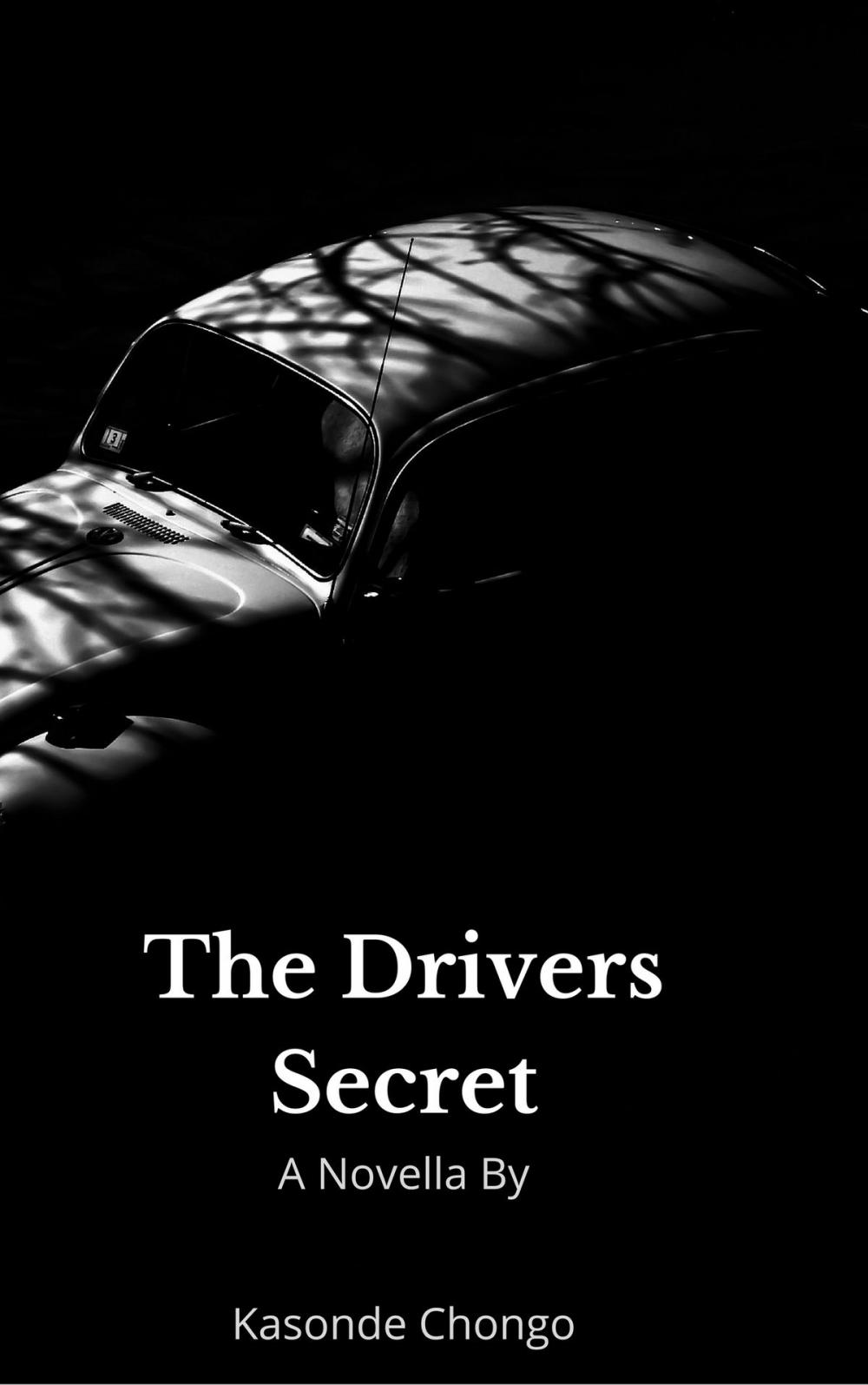 Big bigCover of The Drivers Secret