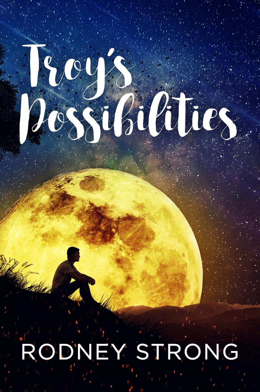 Big bigCover of Troy's Possibilities