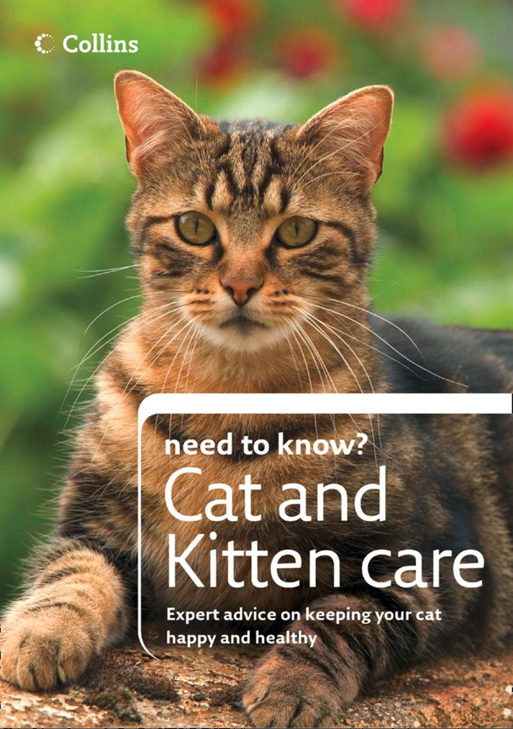 Big bigCover of Cat and Kitten Care (Collins Need to Know?)