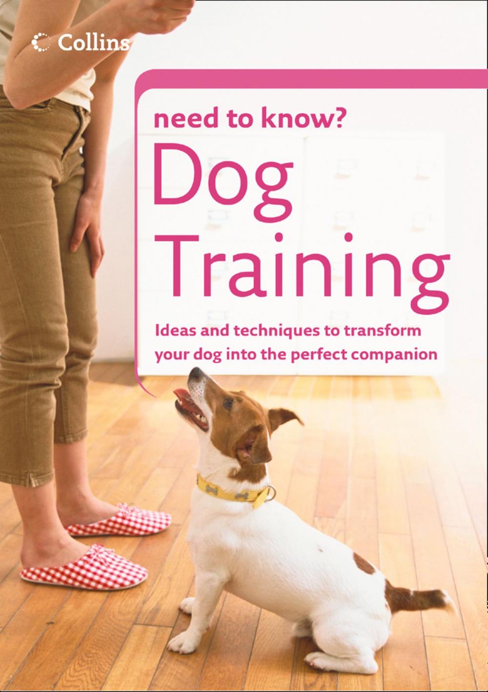 Big bigCover of Dog Training (Collins Need to Know?)