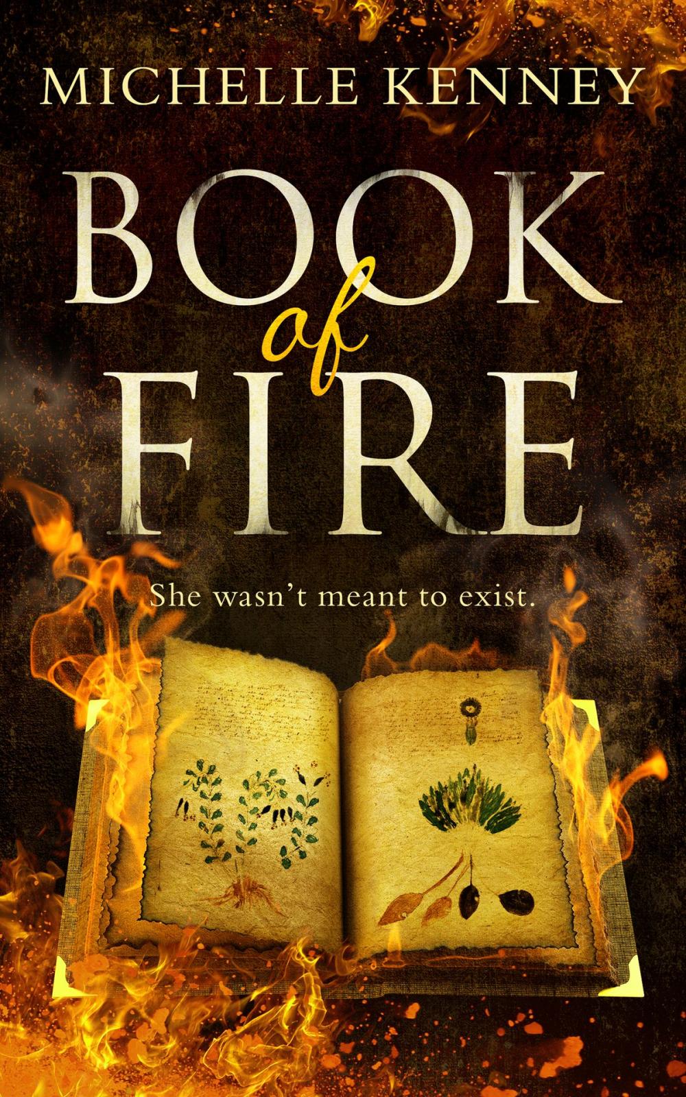 Big bigCover of Book of Fire (The Book of Fire series, Book 1)