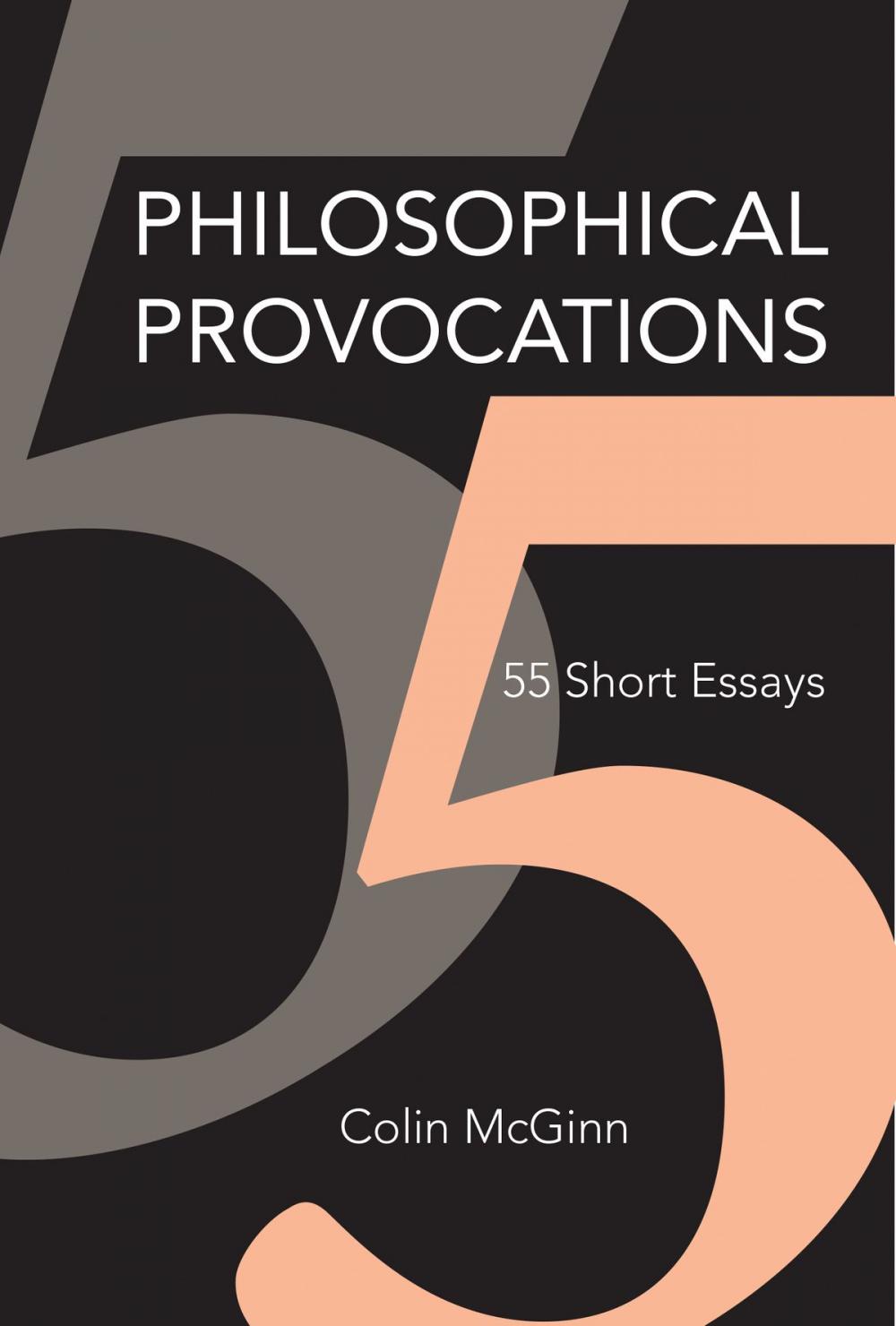 Big bigCover of Philosophical Provocations