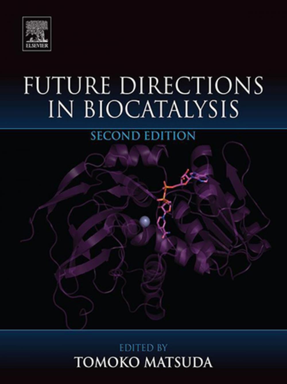 Big bigCover of Future Directions in Biocatalysis