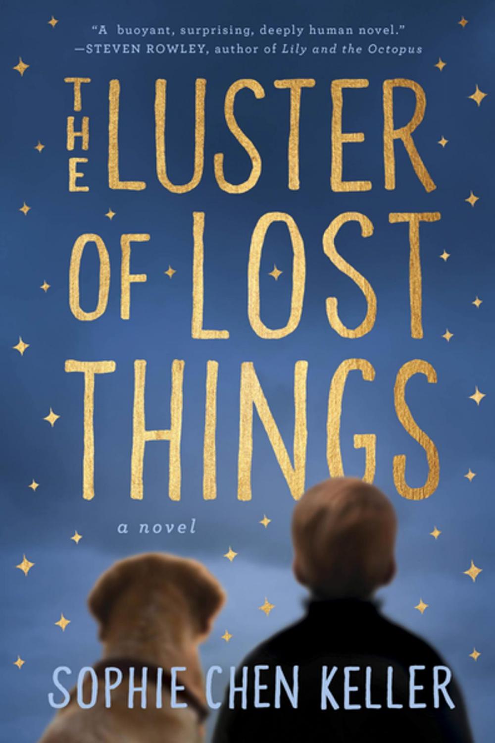 Big bigCover of The Luster of Lost Things