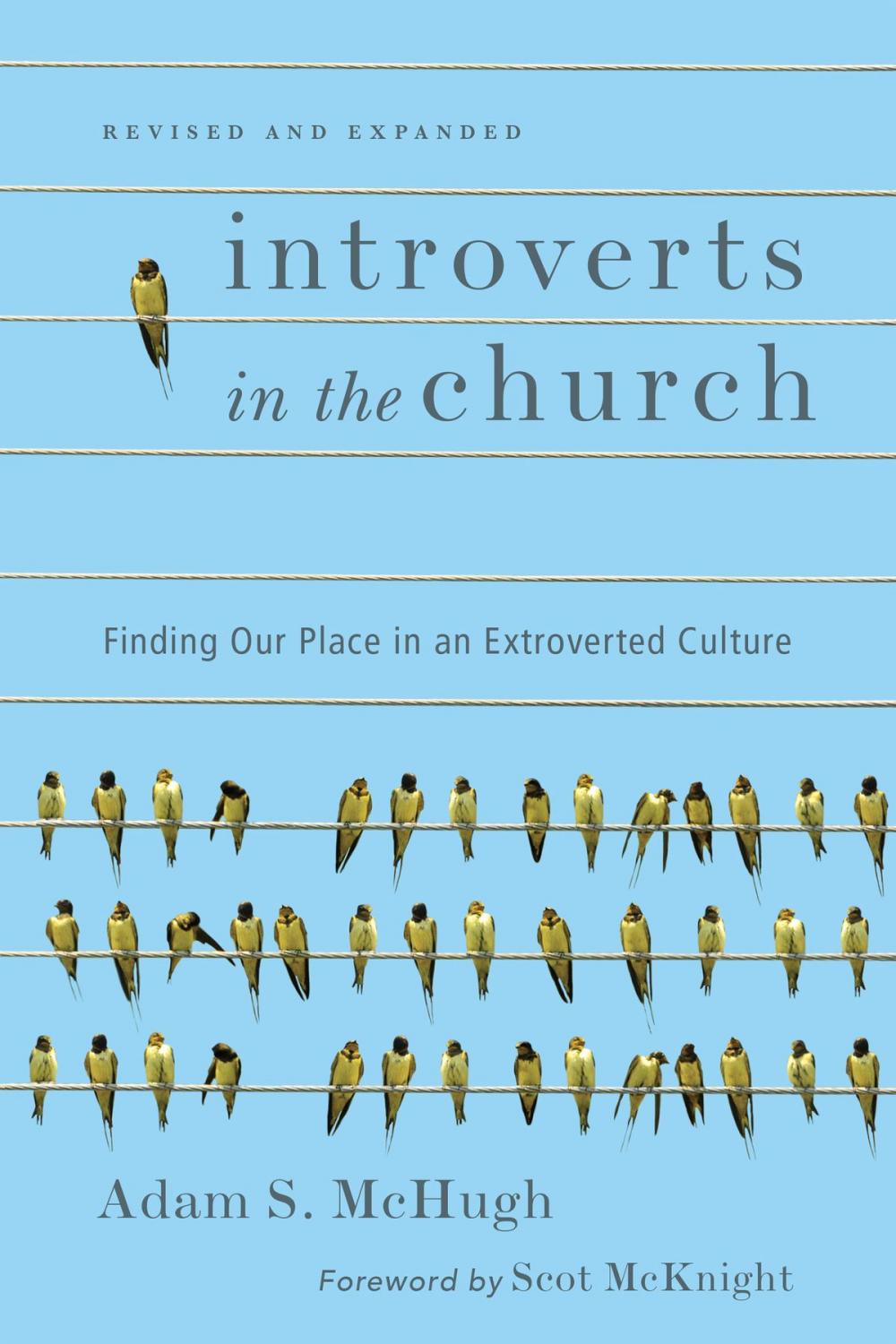 Big bigCover of Introverts in the Church