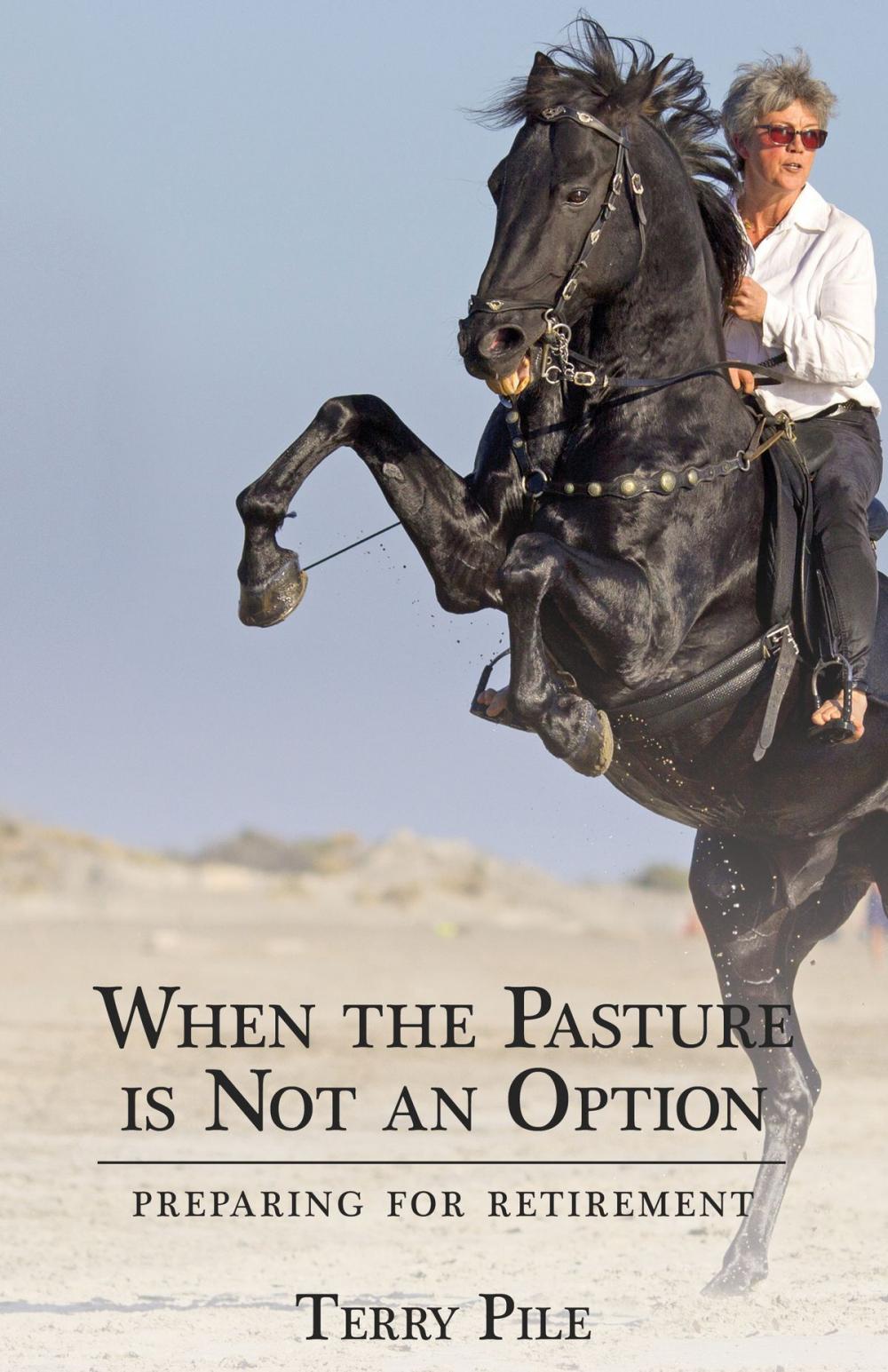 Big bigCover of When the Pasture is Not an Option: Preparing for Retirement