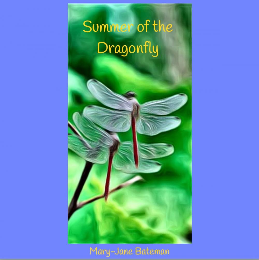 Big bigCover of Summer of the Dragonfly