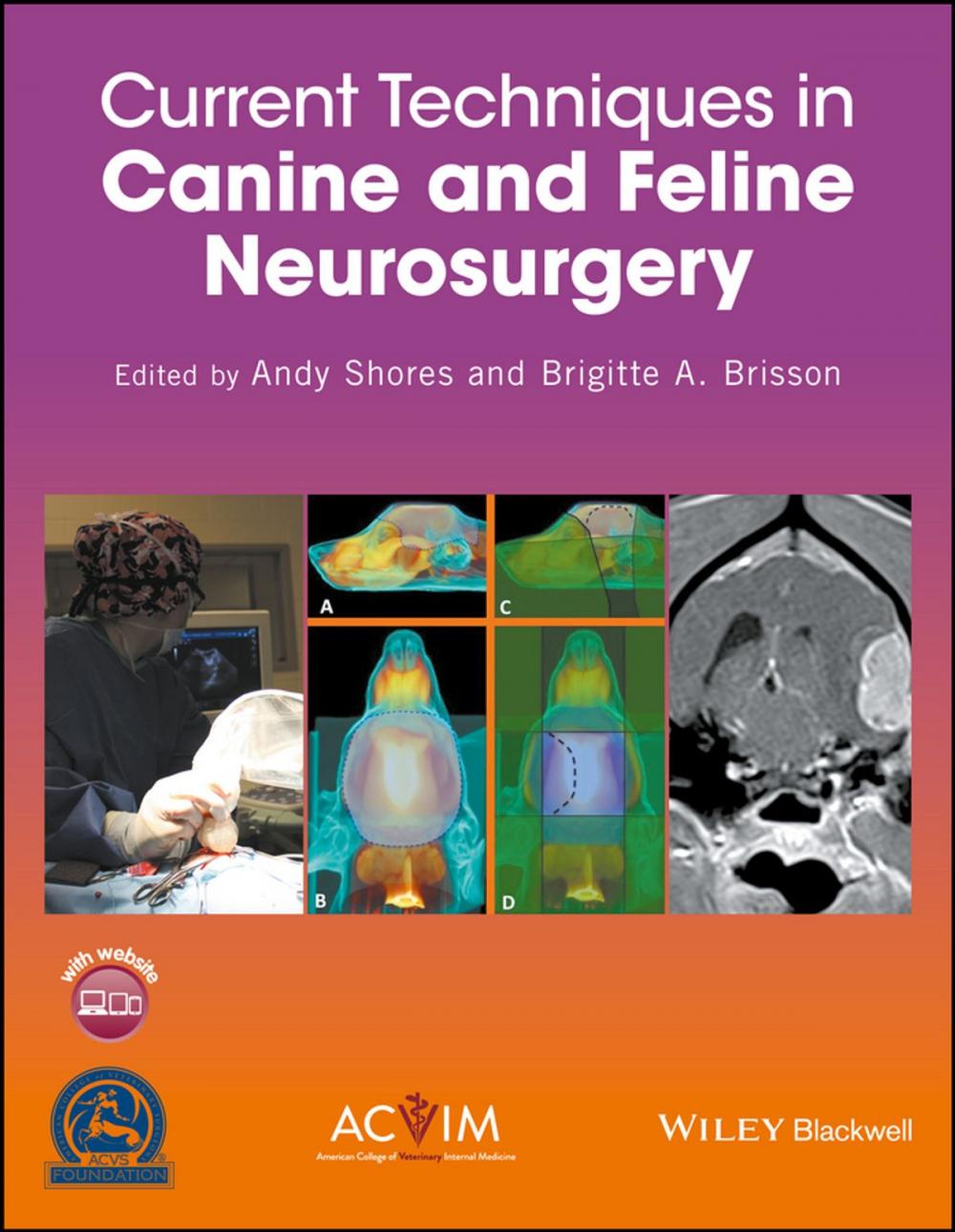 Big bigCover of Current Techniques in Canine and Feline Neurosurgery