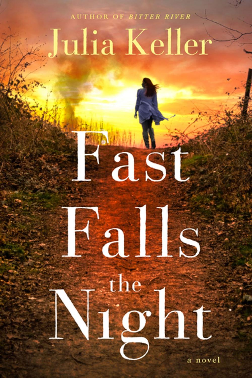 Big bigCover of Fast Falls the Night