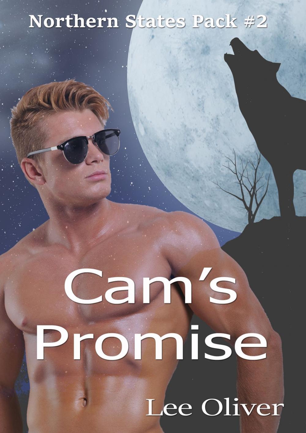 Big bigCover of Cam's Promise