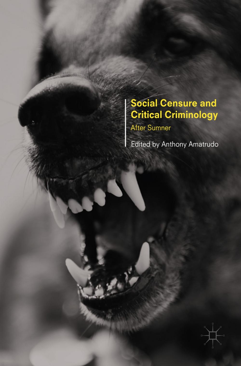 Big bigCover of Social Censure and Critical Criminology