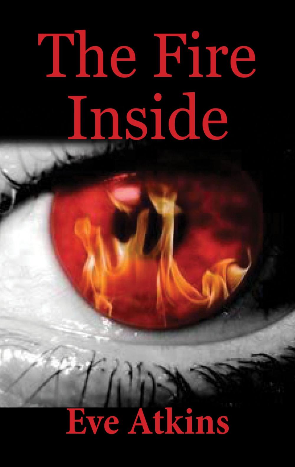 Big bigCover of The Fire Inside