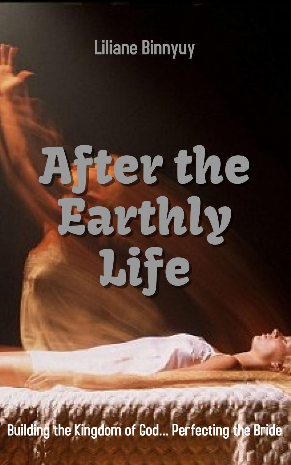 Big bigCover of After the Earthly Life