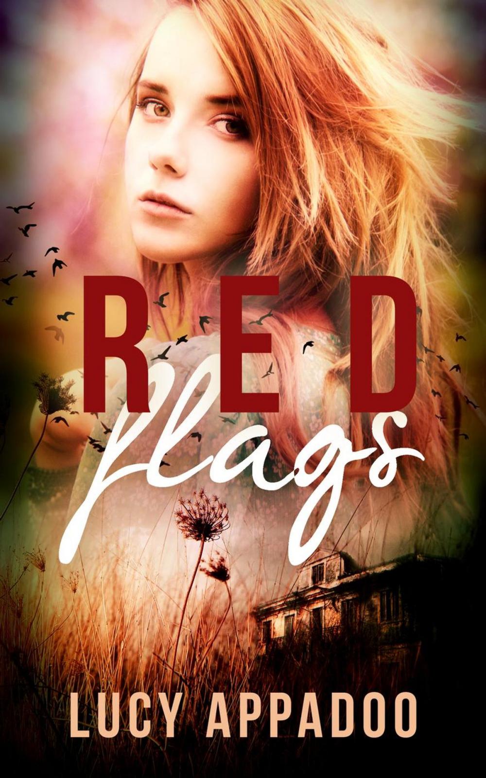 Big bigCover of Red Flags