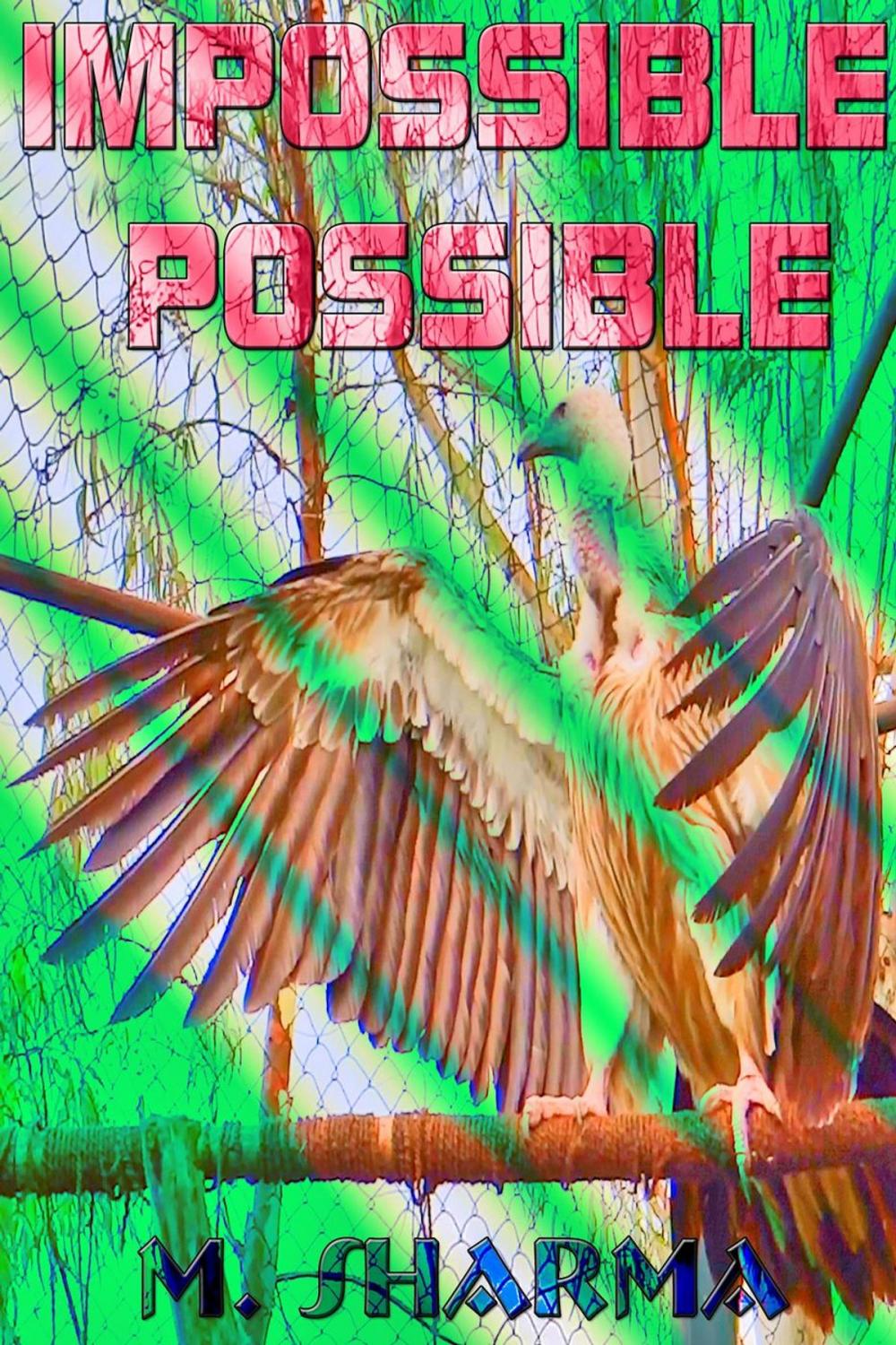 Big bigCover of Impossible Possible