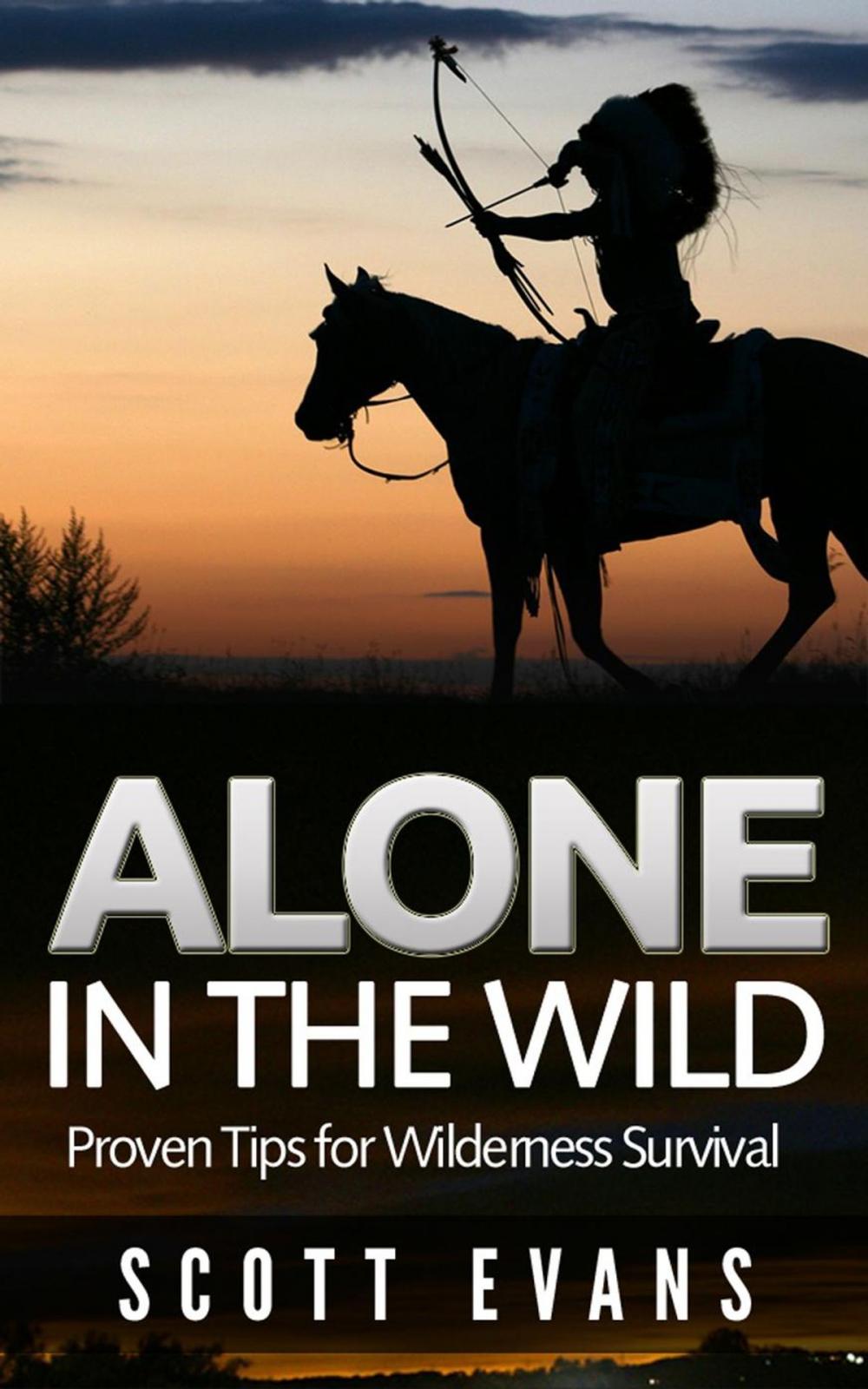 Big bigCover of Alone in the Wild: Proven Tips for Wilderness Survival