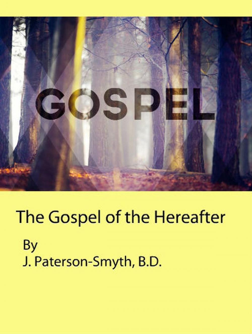 Big bigCover of The Gospel of the Hereafter