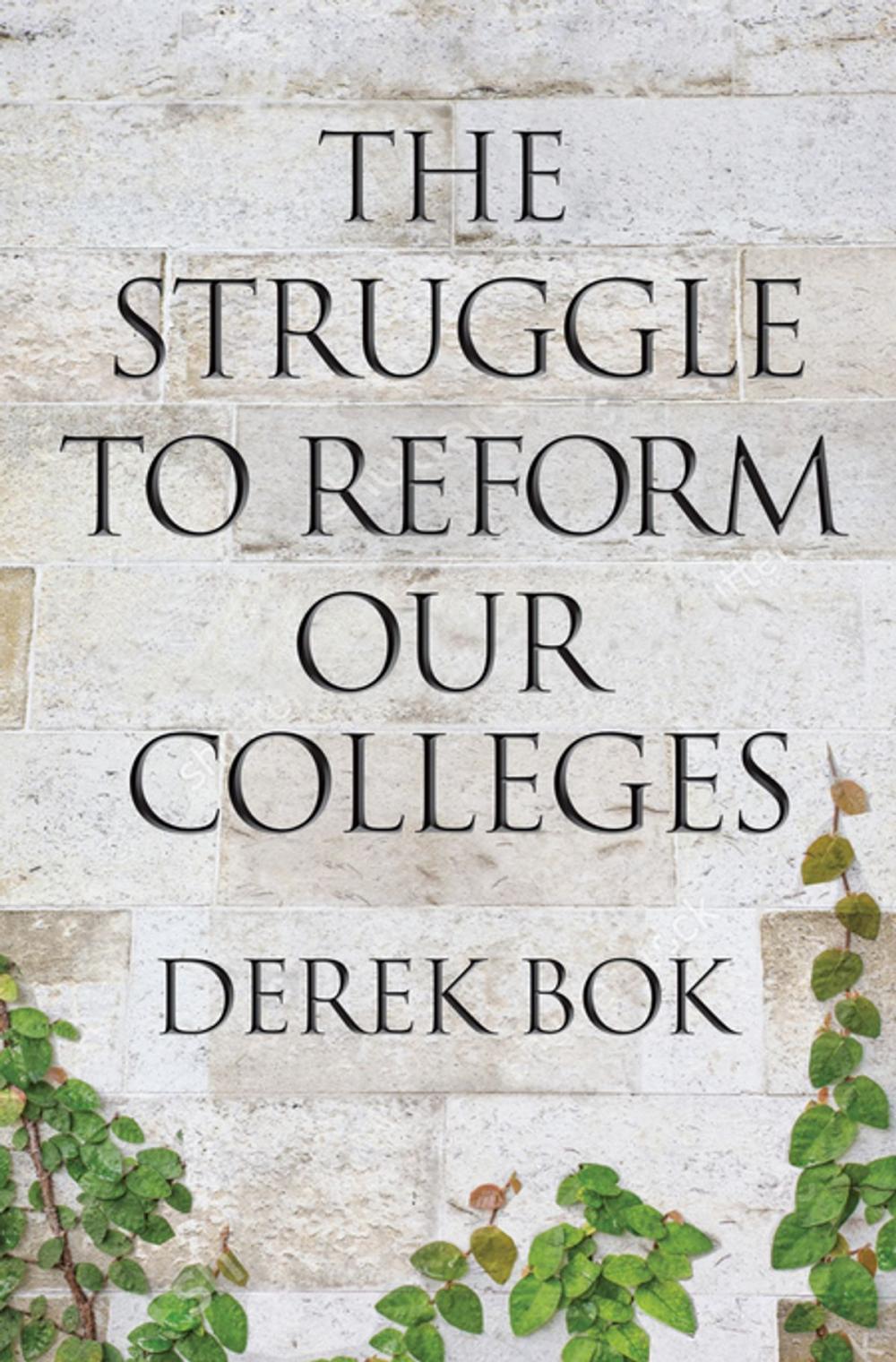 Big bigCover of The Struggle to Reform Our Colleges