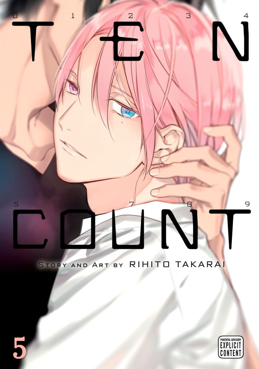 Big bigCover of Ten Count, Vol. 5 (Yaoi Manga)