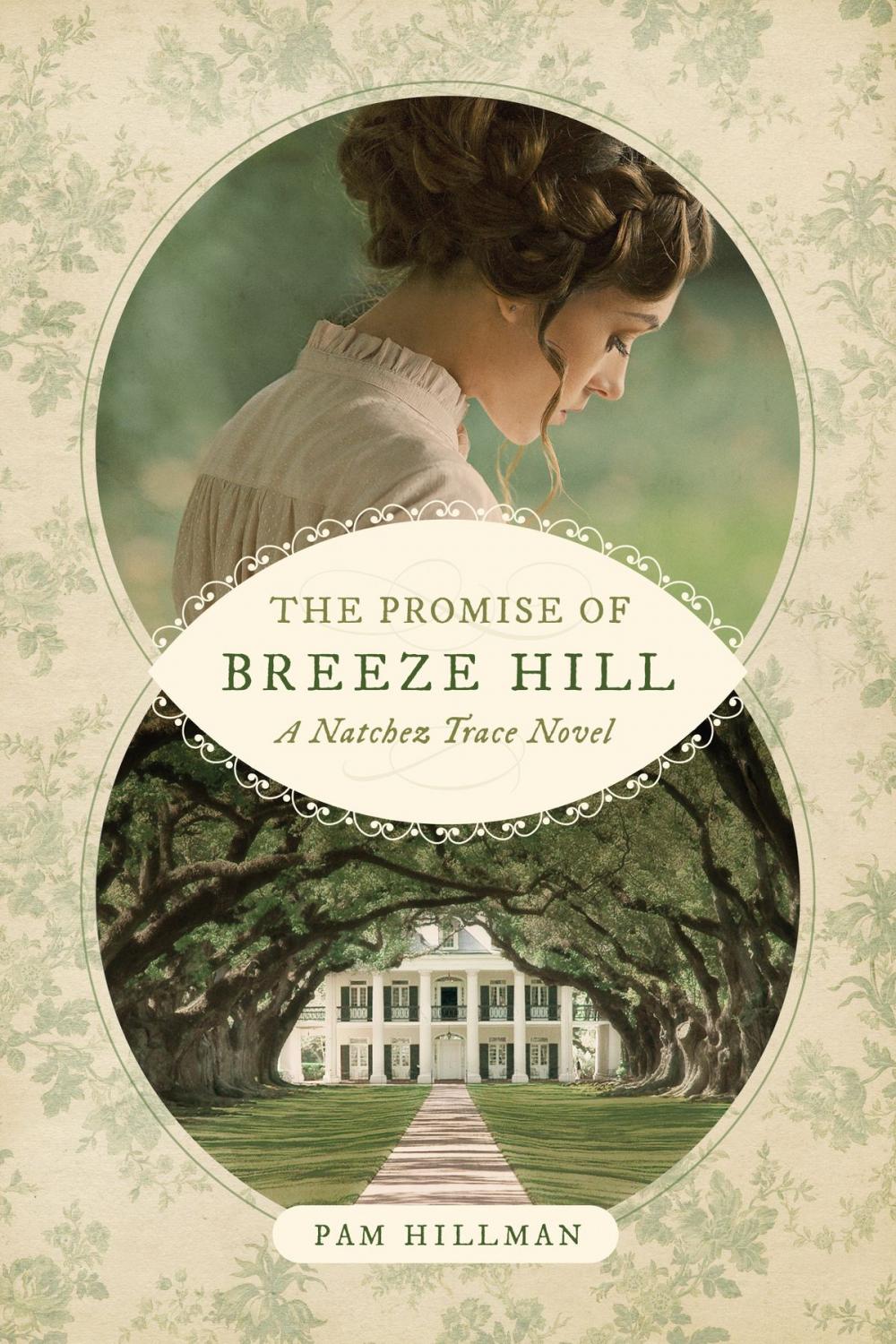 Big bigCover of The Promise of Breeze Hill