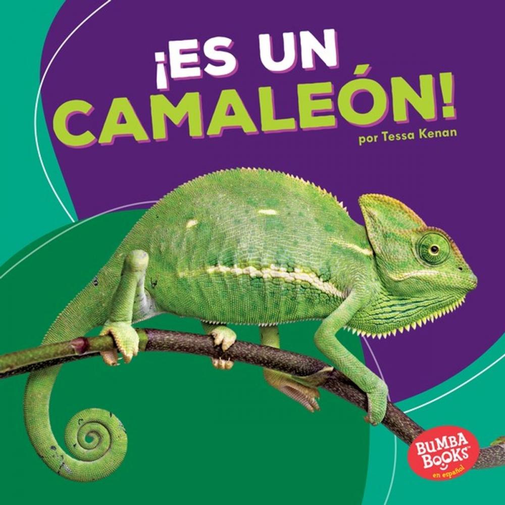 Big bigCover of ¡Es un camaleón! (It's a Chameleon!)