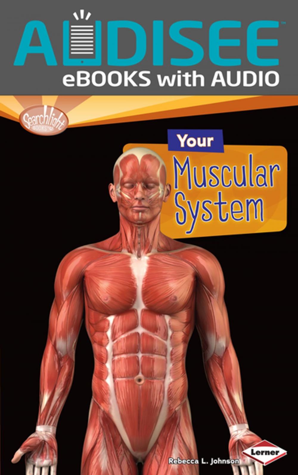 Big bigCover of Your Muscular System