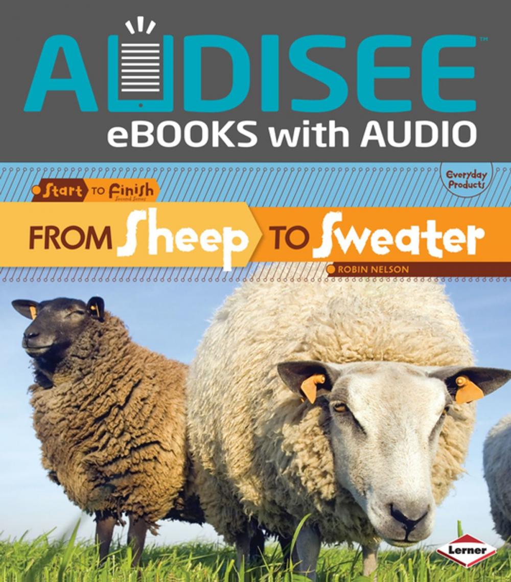 Big bigCover of From Sheep to Sweater