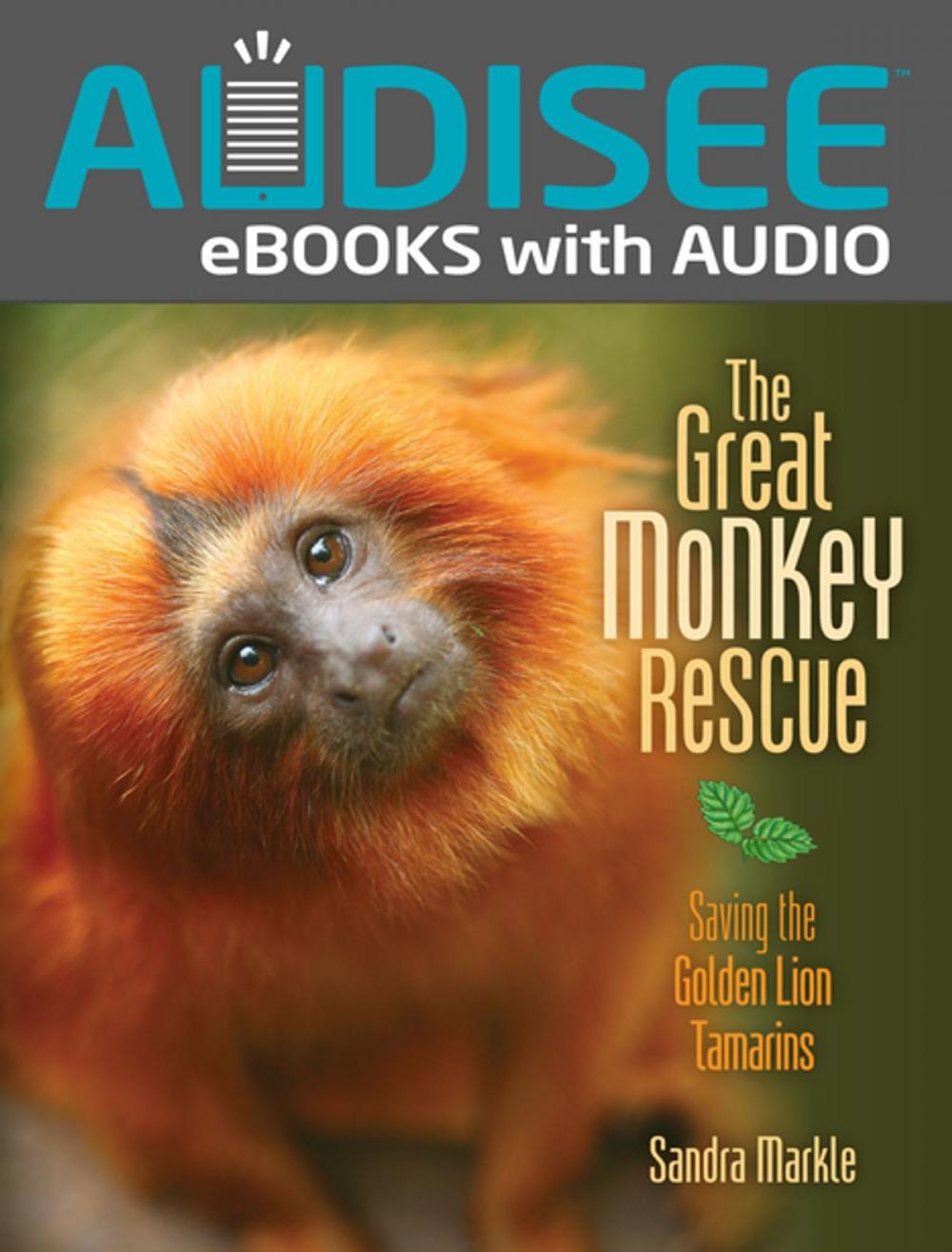 Big bigCover of The Great Monkey Rescue