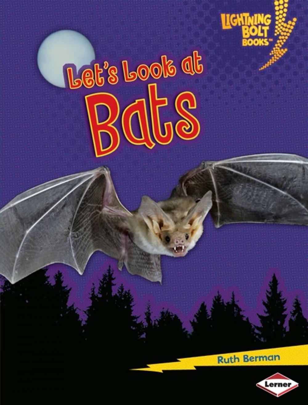 Big bigCover of Let's Look at Bats