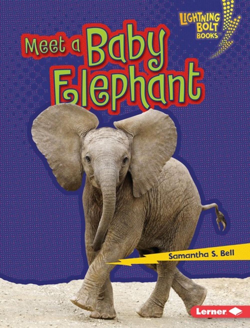 Big bigCover of Meet a Baby Elephant
