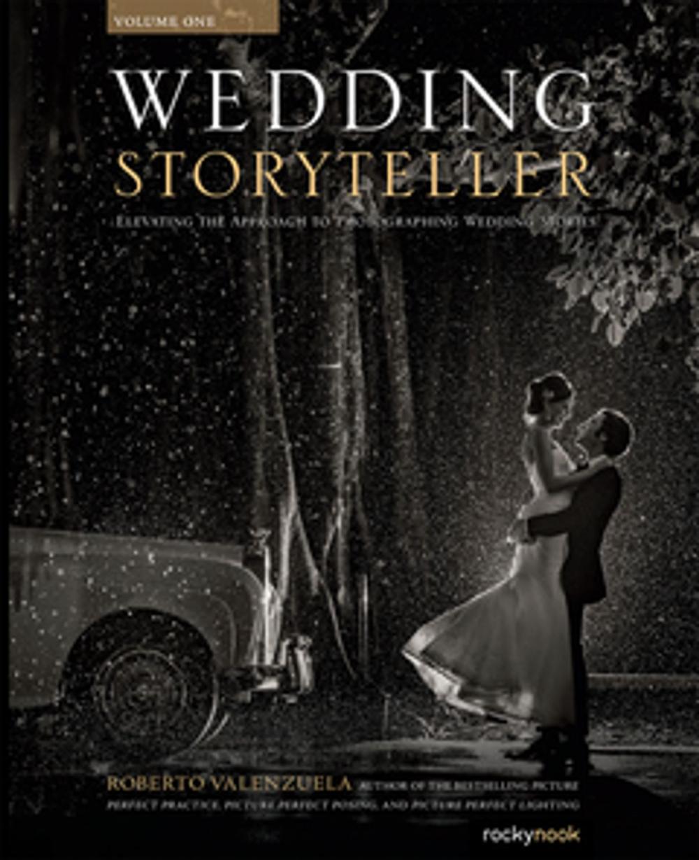 Big bigCover of Wedding Storyteller, Volume 1