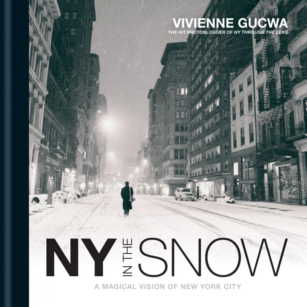 Big bigCover of New York In The Snow