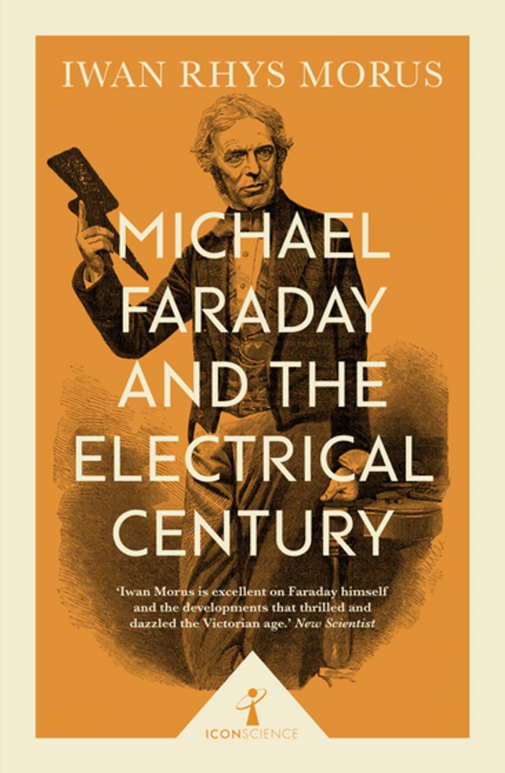 Big bigCover of Michael Faraday and the Electrical Century (Icon Science)