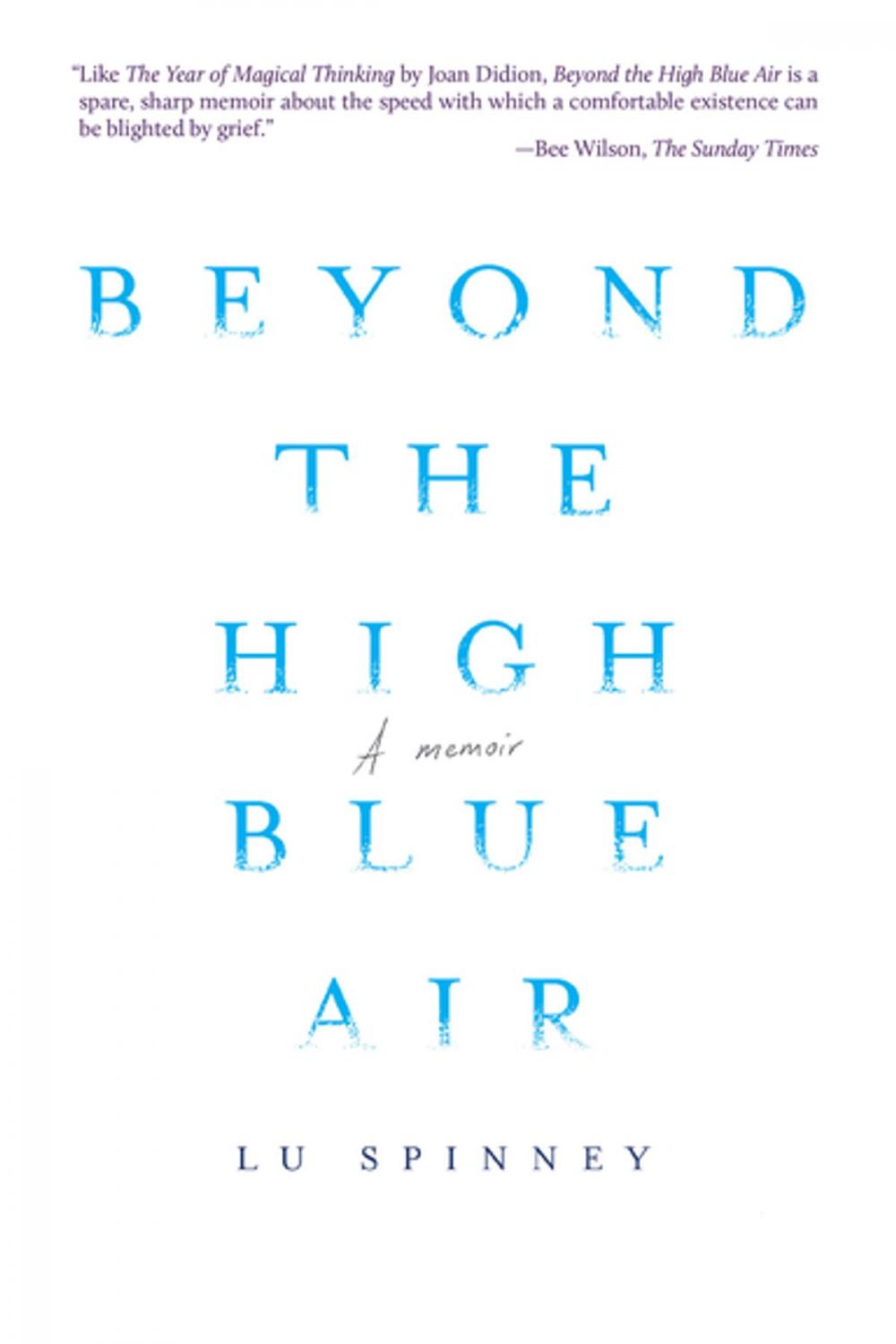Big bigCover of Beyond the High Blue Air