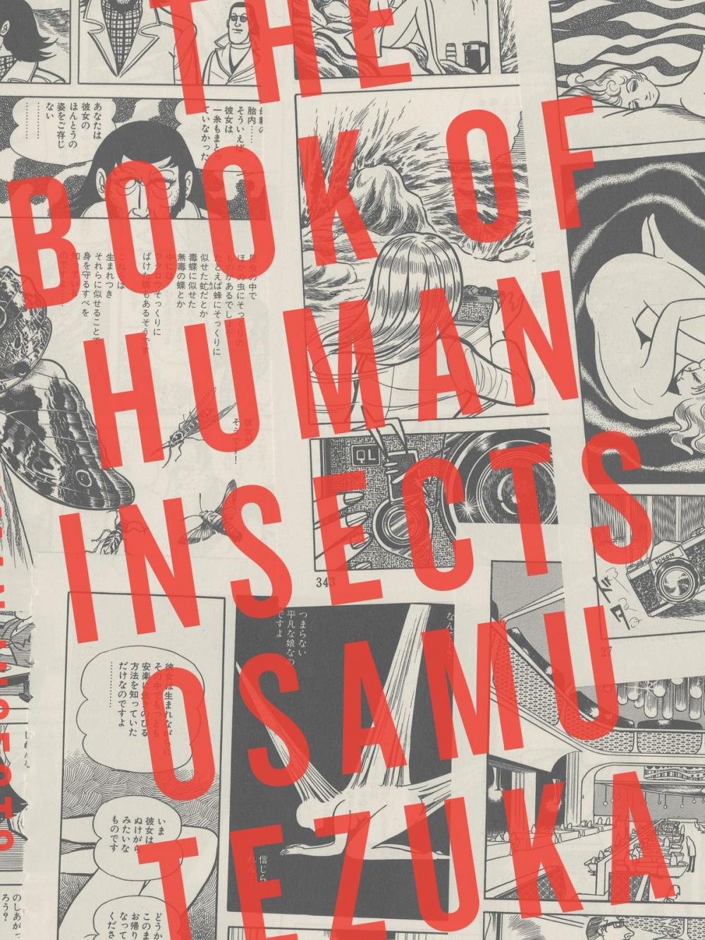 Big bigCover of The Book of Human Insects