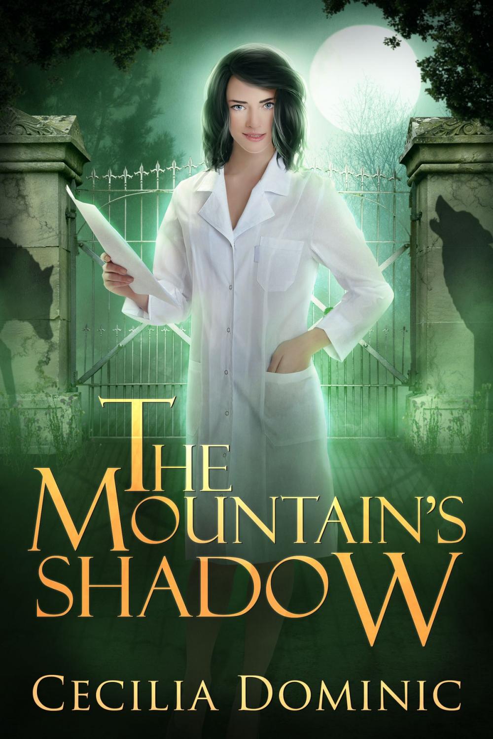 Big bigCover of The Mountain's Shadow