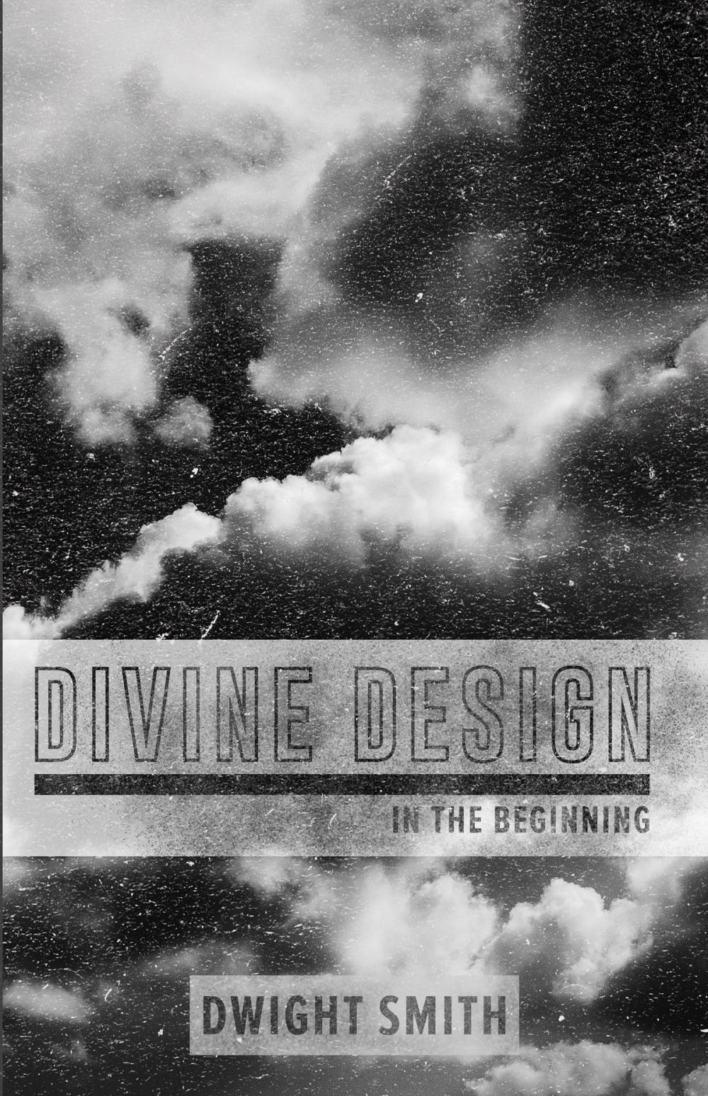 Big bigCover of Divine Design