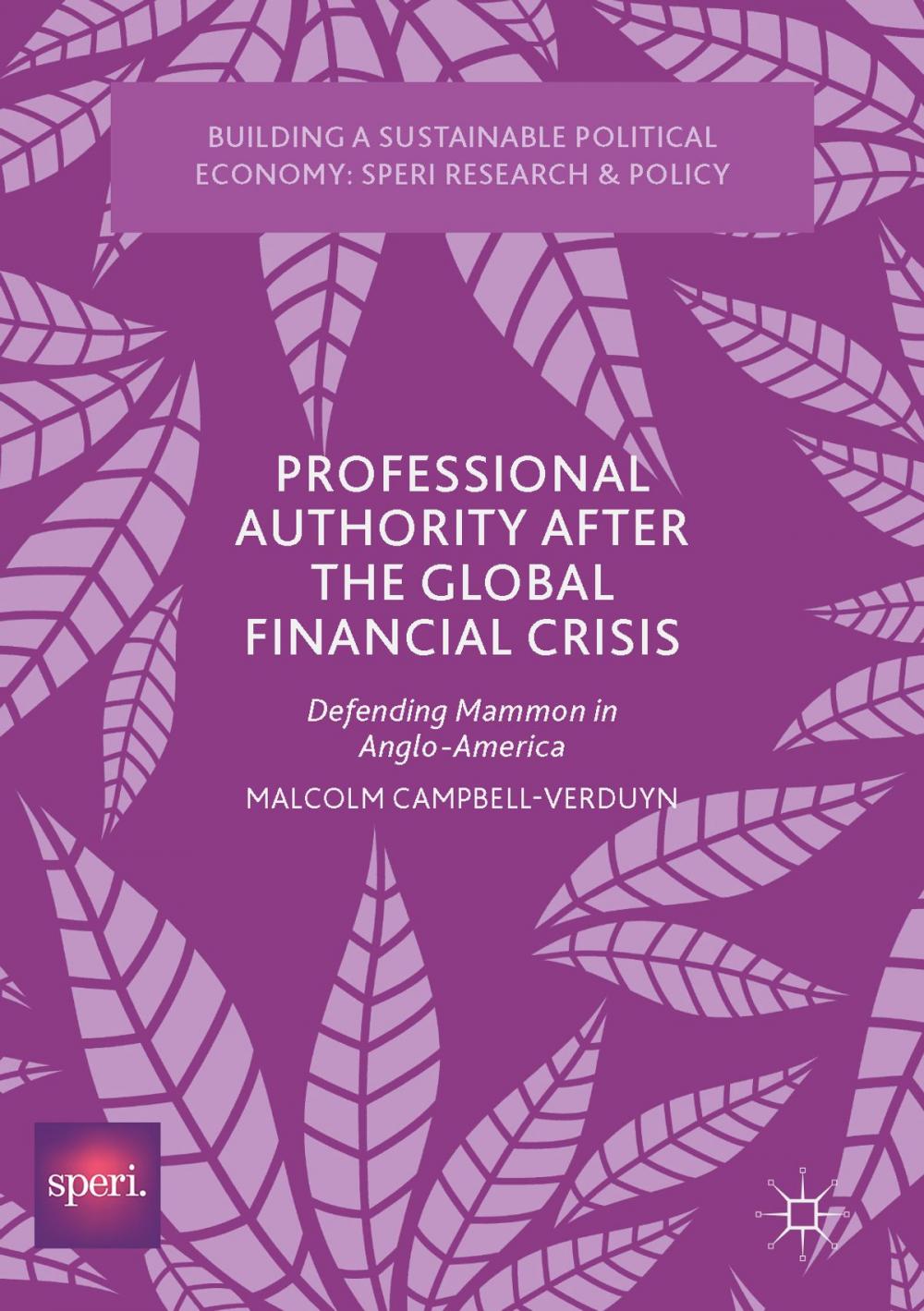 Big bigCover of Professional Authority After the Global Financial Crisis