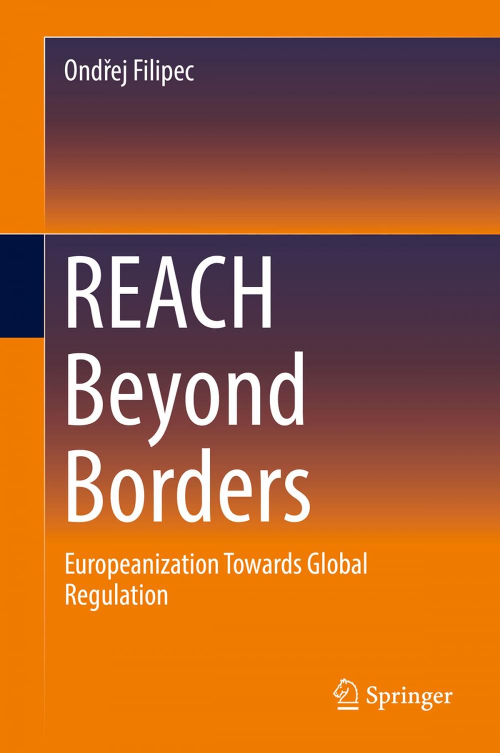 Big bigCover of REACH Beyond Borders