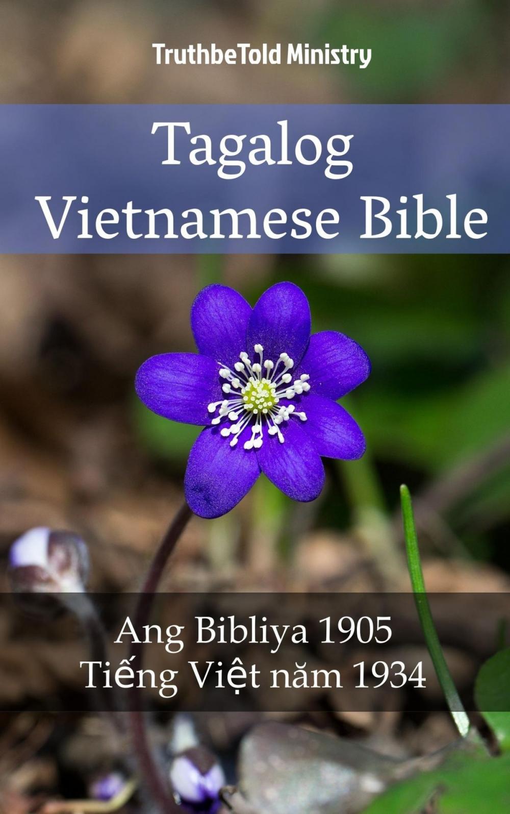 Big bigCover of Tagalog Vietnamese Bible