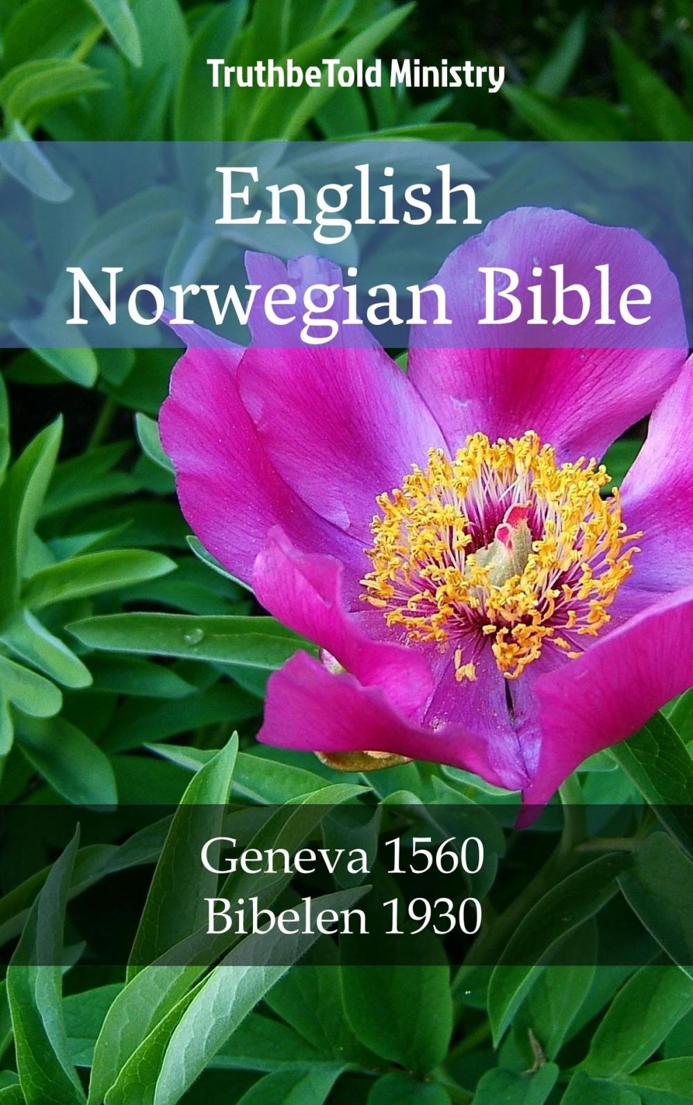 Big bigCover of English Norwegian Bible