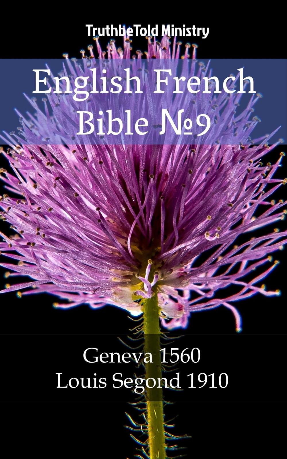 Big bigCover of English French Bible №9