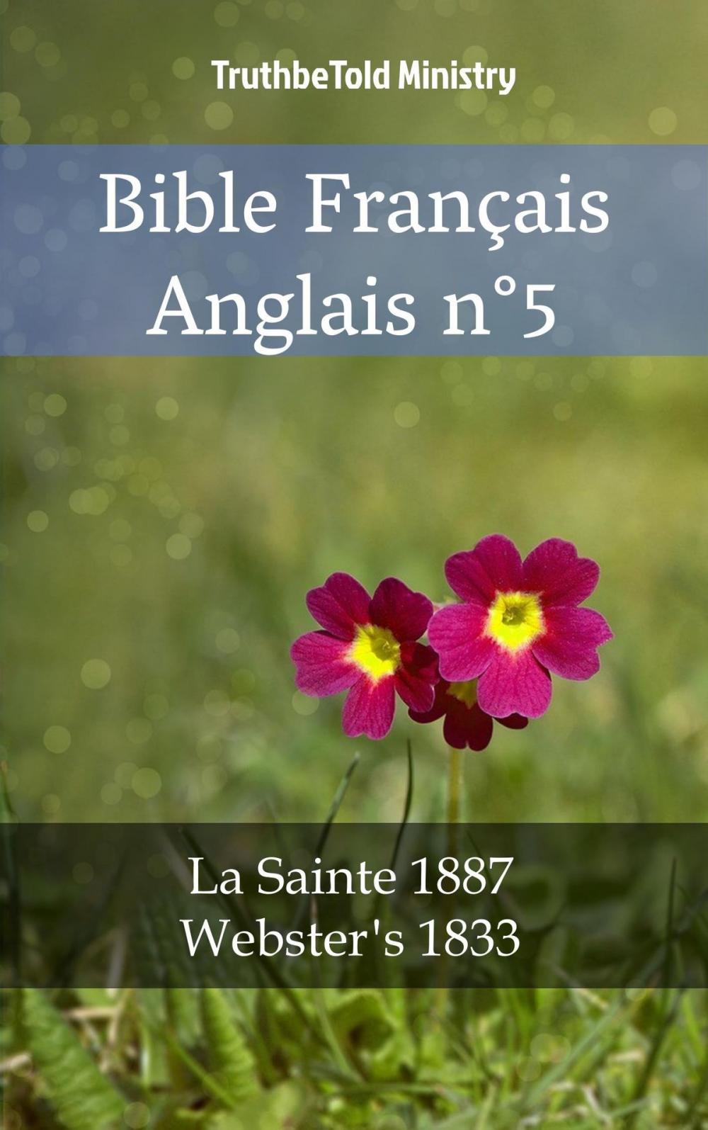 Big bigCover of Bible Français Anglais n°5
