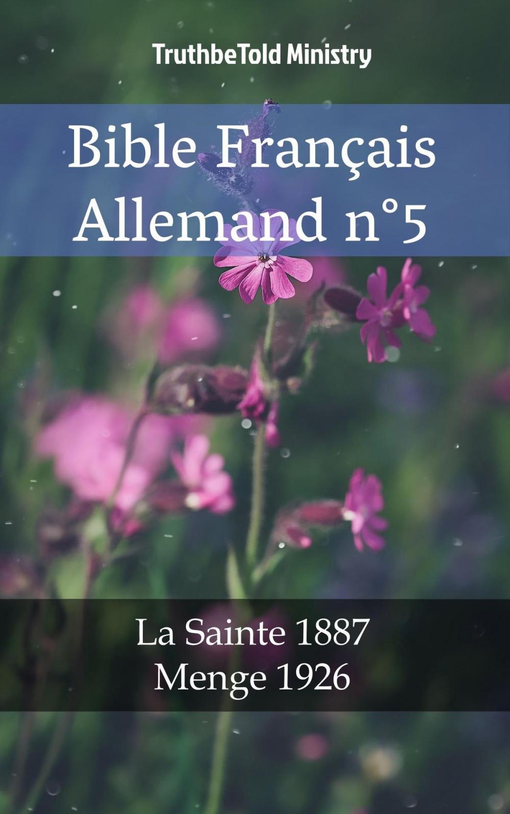Big bigCover of Bible Français Allemand n°5